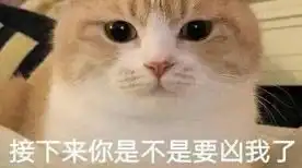 斗图表情包app下载斗图表情包软件排行榜非凡软件站