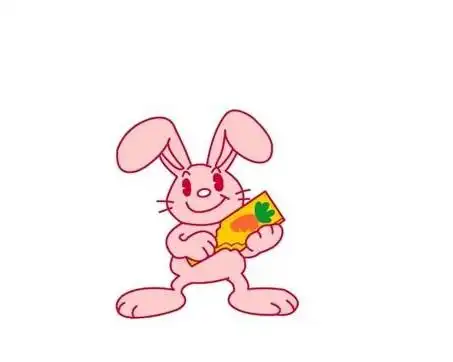 属兔的人2019年运程属兔人2019年运势及运程