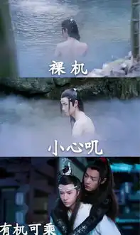蓝忘机最佳表情包,拦网叽最厉害,专业联网十六年