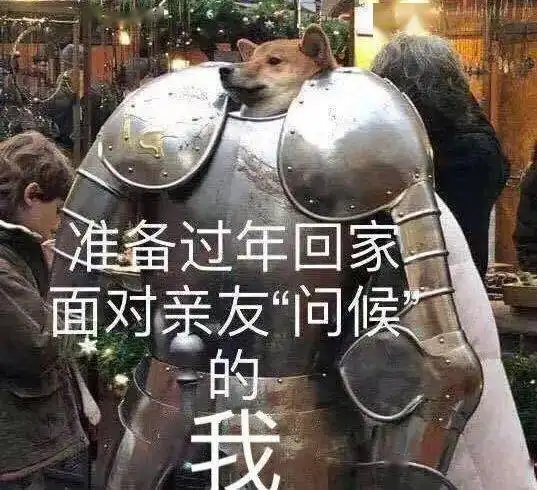 过年不会怼亲戚的朋友,进来集合