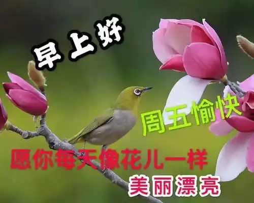 腊月初二早上好图片祝福语唯美的早安问候表情动态图片大全