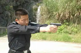 阳光警草的跃动青春