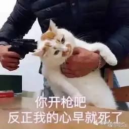 你余额还有多少自己没数么还花个屁钱