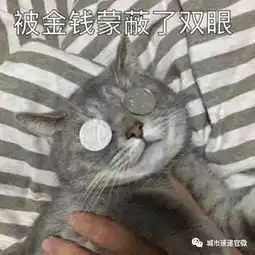 小编叨叨叨保洁大姐刮宝马被索赔1000元丈夫知晓后欲离婚