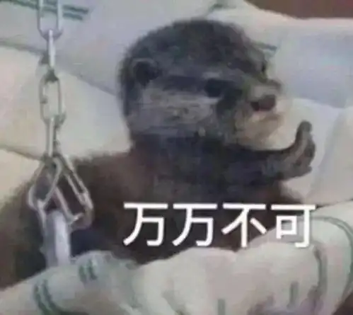 被生活所迫的表情包打麻