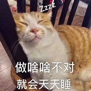 正经网友绝对刷不到的绝版沙雕表情包