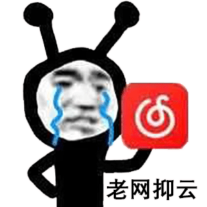 从未见过如此厚颜无耻的播放器