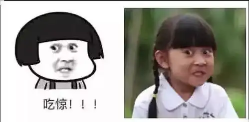 人老了表情包原型