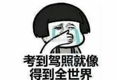 团团有话说那些年我们一起学过的车遇上驾考新规8.118.18
