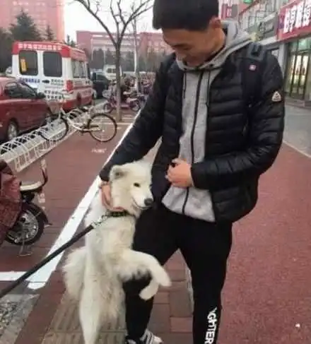 男生抱萨摩耶头像主人