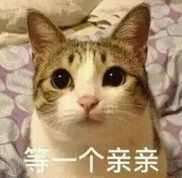 小猫唱歌表情包