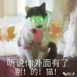 胖娃表情包蛇精