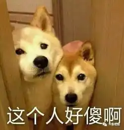 真人抱抱表情包图片inet