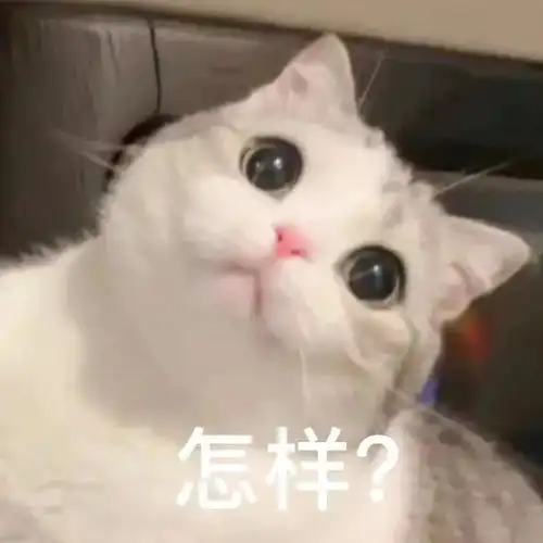 在暴风雨中艰难前行这个表情是谁今日头条