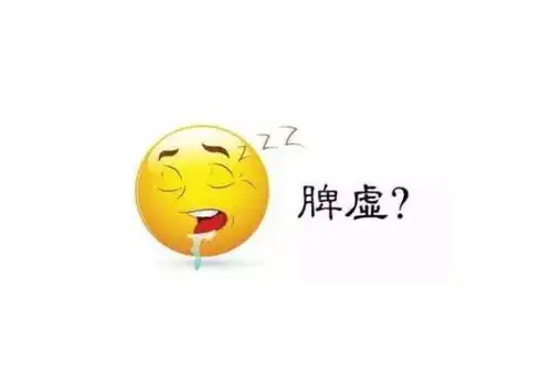 脾虚的人该如何去调理学会1个动作,这样站一站就能帮你调理好