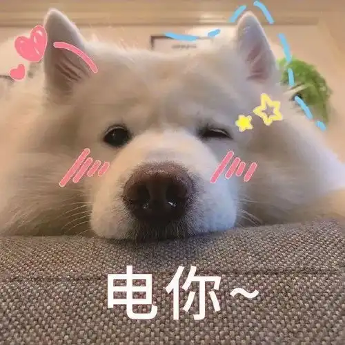 忘了小白鞋今年初恋鞋才是真的火