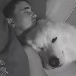 就是这条狗,抢了我的男朋友