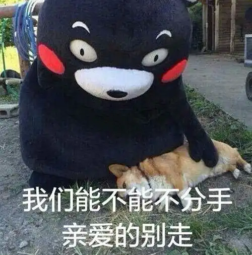 俺妹黑猫表情包绰号