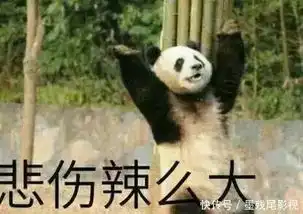 你是钢铁直男表情包功夫