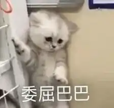 疫情之下,旅行社的破局之路