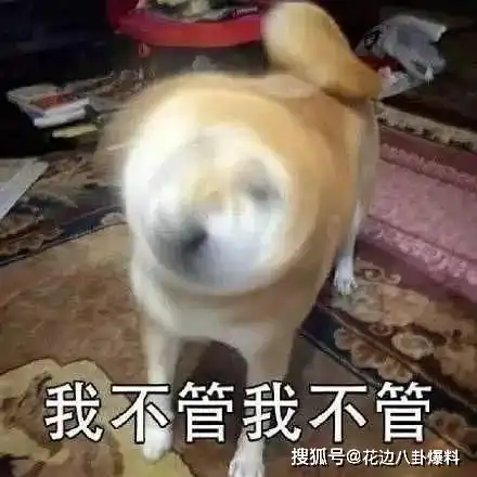 玉漱传外围出身傍金猪上位结婚洗白惨遭夫家嫌弃的当红小花