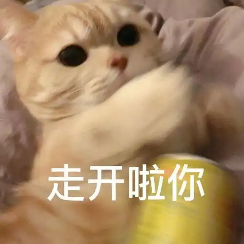 橘猫沙梨表情包