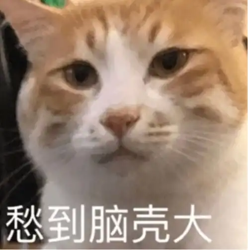去除甲醛最有效的方法是什么