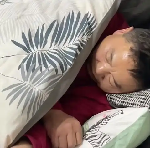 男子睡觉鼾声如雷,被赶到客厅睡,猫咪一举动把网友逗乐了