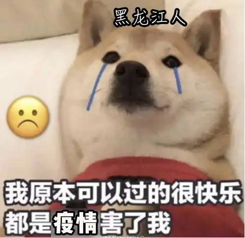 小胖子表情包我没钱猫窝