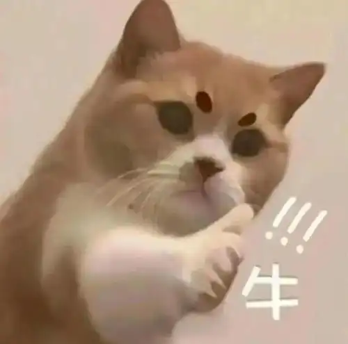 如何用表情包表达肯定