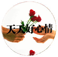 感谢大家的祝福表情包生