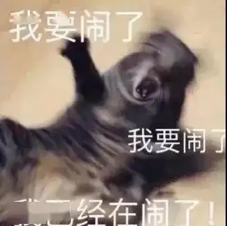 今日表情推荐,52