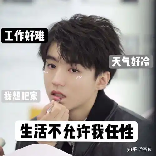 谁有王俊凯的表情包呀