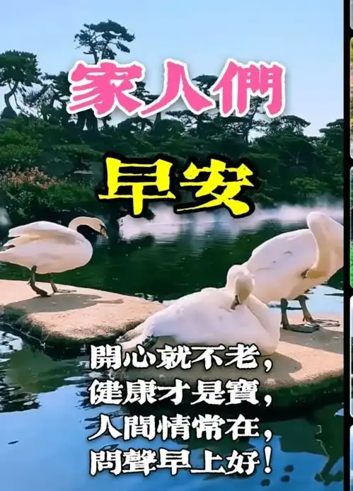 开心的表情包早上好