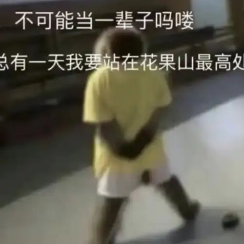 还是猴聪明,进化得刚刚好,再进化一点可就要上班了啊