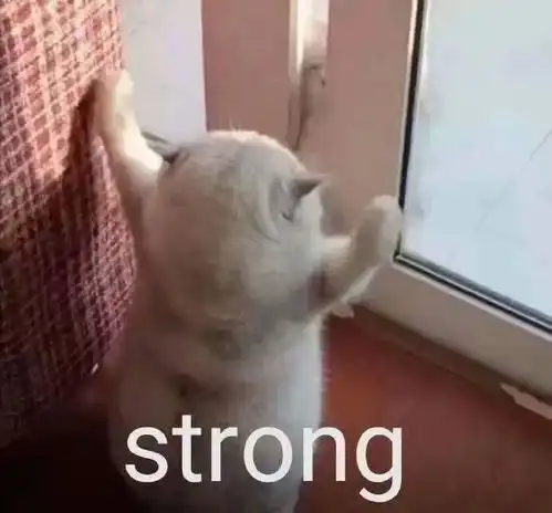 哦你妹表情包天气预报