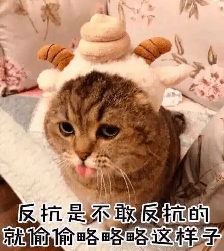 真相是真全方位嗑糖指南了解一下