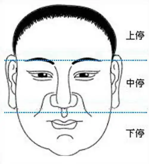 弘扬东方文化1面相五官详细的了解用心学习2三停判断人一生各阶段的运气3什么痣是前世留下的有什么依据4男生女相是面相中怎样的异相