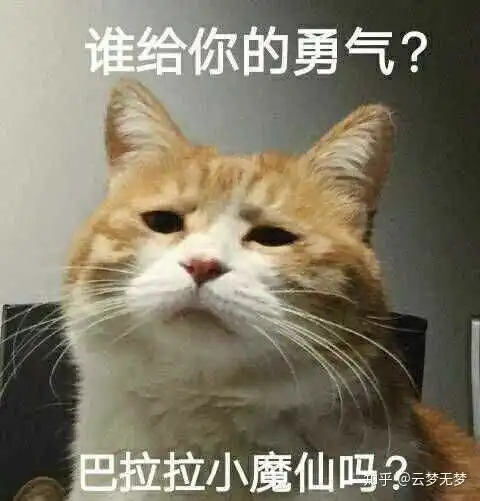 你都被那些表情包逗笑