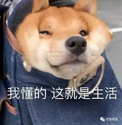表情包gif沙雕放假
