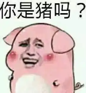 关于猪的卡通表情包乖巧的像只小猪仔