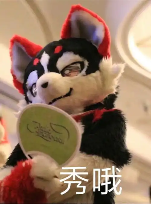 个人收藏自制的兽装表情包2
