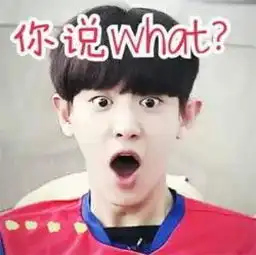 exo表情包灿烈你说what
