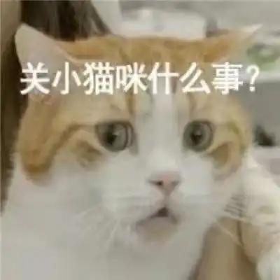 2021可爱沙雕小猫咪表情包合集小猫咪才是永远的神