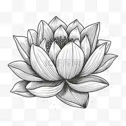 手绘莲花画图片手绘莲花画图片素材免费下载千库网