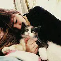 手中抱猫头像男微信头像图片大全