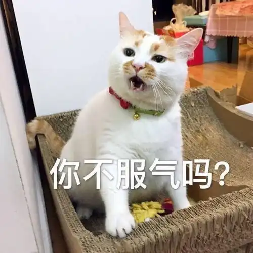 为什么讨厌杨超越