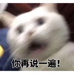 海量表情包仓库持续更新中