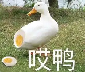 笑出鹅叫声表情包女的玉