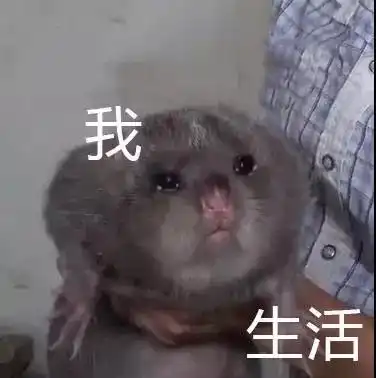 你看起来很焦虑,烤起来一定很好吃